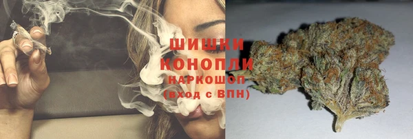 гидра Балахна