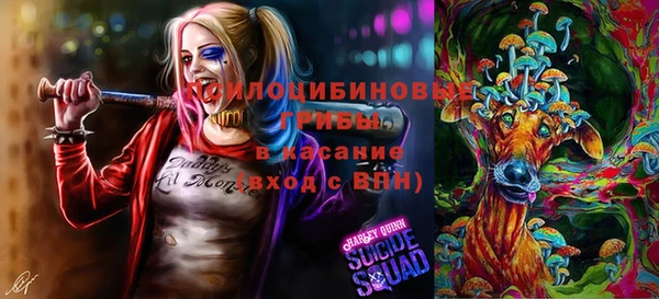 гидра Балахна
