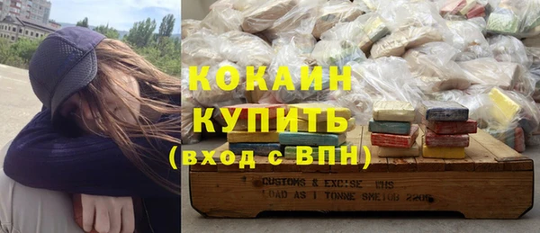 прущие грибы Семикаракорск