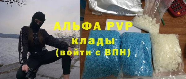 гидра Балахна